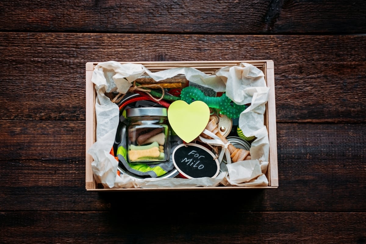 AdobeStock_470140582-sm