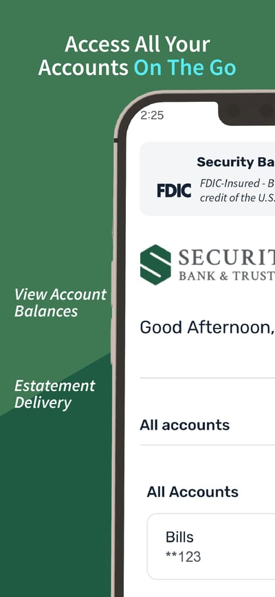 App screen titled Access All Your Accounts On The Go, showing an account list with balances, labeled View Account Balances and Estatement Delivery