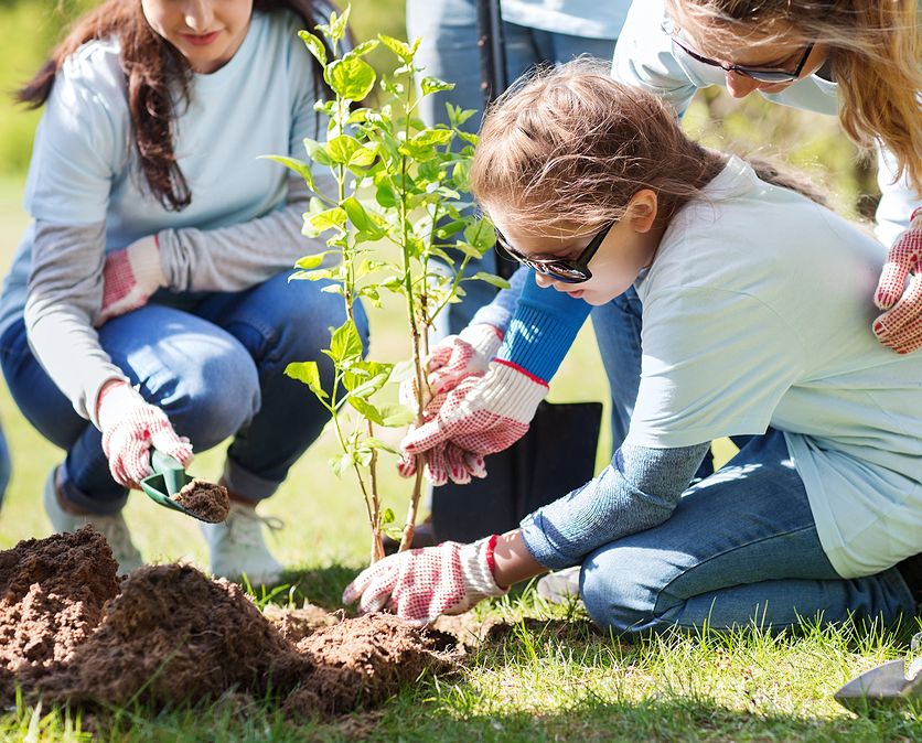planting-a-tree