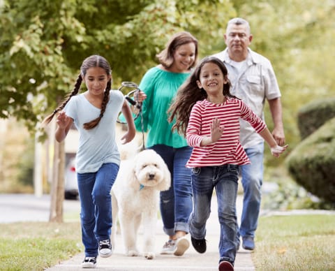 Family walking down the sidewalk with their dog