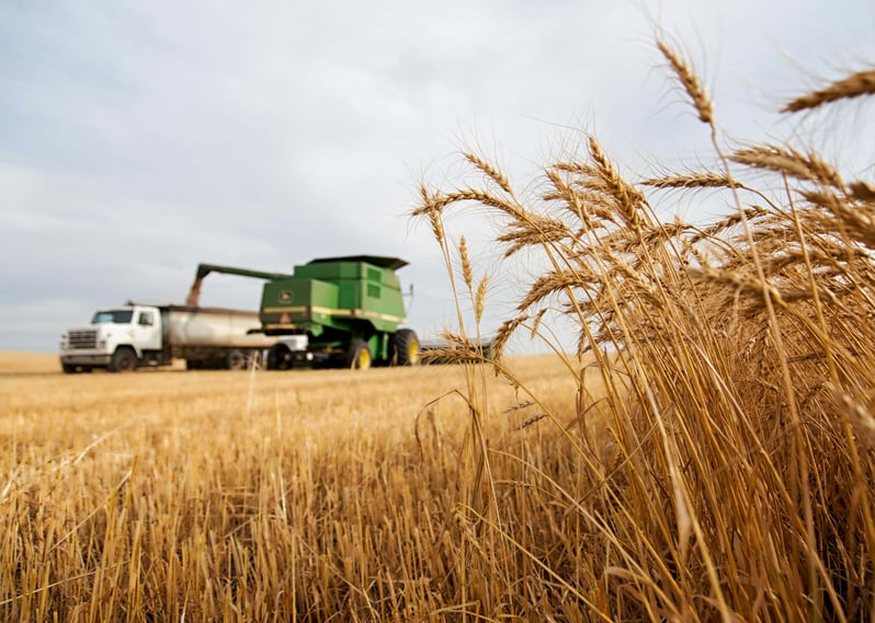 john deere tractor working in a field of wheat