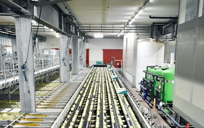 minnesota manufacturing plant