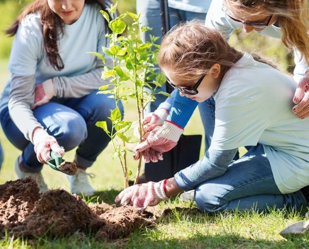 child planting a tree